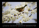 Vogelparadies Fotokalender 2027 - 11
