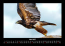 Vogelparadies Fotokalender 2027 - 5