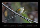 Vogelparadies Fotokalender 2027 - 6