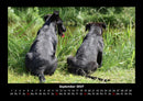 Tierkalender Fotokalender 2027 - 9