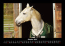 Tierkalender Fotokalender 2027 - 10