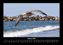 Meereslandschaft Fotokalender 2027 - 1