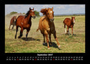 Pferde Kalender Fotokalender 2027 - 9