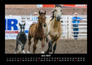 Pferde Kalender Fotokalender 2027 - 6