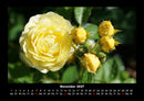 Blumenzauber Fotokalender 2027 - 11
