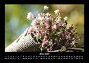 Blumenzauber Fotokalender 2027 - 3