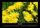 Blumenzauber Fotokalender 2027 - 5