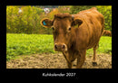 Kuhkalender Fotokalender 2027 - Hauptbild