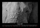 Elefanten - Die sanften Riesen Afrikas Fotokalender 2027 - 1