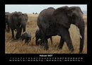 Elefanten - Die sanften Riesen Afrikas Fotokalender 2027 - 2