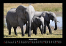 Elefanten - Die sanften Riesen Afrikas Fotokalender 2027 - 8