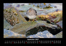 Nordsee Fotokalender 2027 - 9