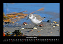 Nordsee Fotokalender 2027 - 12