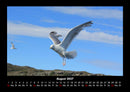 Nordsee Fotokalender 2027 - 8