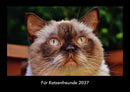 Für Katzenfreunde Fotokalender 2027 - Hauptbild