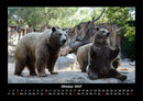 Tierkalender Fotokalender 2027 - 10