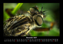 Tierkalender Fotokalender 2027 - 11