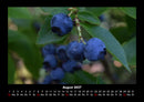 Obstkalender Fotokalender 2027 - 8