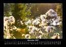 Bilder aus der Natur Fotokalender 2027 - 11