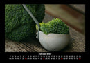 Gemüsekalender Fotokalender 2027 - 2