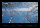 Bäume Fotokalender 2027 - 9