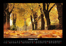 Bäume Fotokalender 2027 - 10