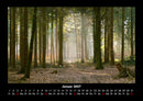 Bäume Fotokalender 2027 - 1