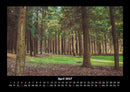 Bäume Fotokalender 2027 - 4