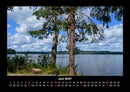 Bäume Fotokalender 2027 - 6