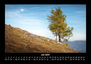 Bäume Fotokalender 2027 - 7
