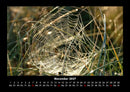 Natur Fotokalender 2027 - 11