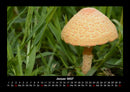 Natur Fotokalender 2027 - 1