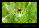 Natur Fotokalender 2027 - 4
