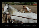 Die Welt der Pferde Fotokalender 2027 - 9