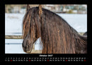 Die Welt der Pferde Fotokalender 2027 - 10