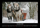 Die Welt der Pferde Fotokalender 2027 - 12
