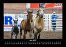 Die Welt der Pferde Fotokalender 2027 - 6