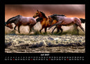 Die Welt der Pferde Fotokalender 2027 - 7