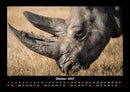 Der Tierkalender Fotokalender 2027 - 10