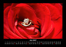 Rosentraum Fotokalender 2027 - 6