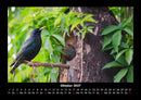 Vogelparadies Fotokalender 2027 - 10