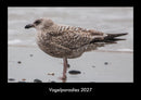 Vogelparadies Fotokalender 2027 - Hauptbild