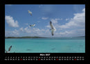 Vogelparadies Fotokalender 2027 - 3