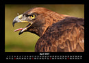 Vogelparadies Fotokalender 2027 - 4
