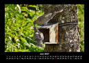 Vogelparadies Fotokalender 2027 - 6