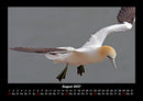 Vogelparadies Fotokalender 2027 - 8