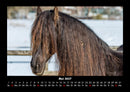 Pferdegeflüster Fotokalender 2027 - 5