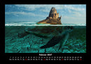 Schildkrötenzauber Fotokalender 2027 - 2