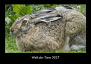 Welt der Tiere Fotokalender 2027 - Hauptbild