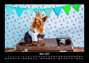 Welt der Tiere Fotokalender 2027 - 3
